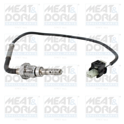 Sensor, exhaust gas temperature